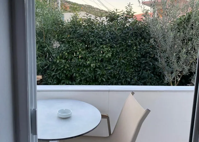 招待所 The Cozy 卡萨米尔