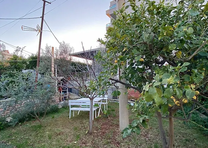 The Cozy * 卡萨米尔